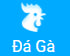 YAZ888