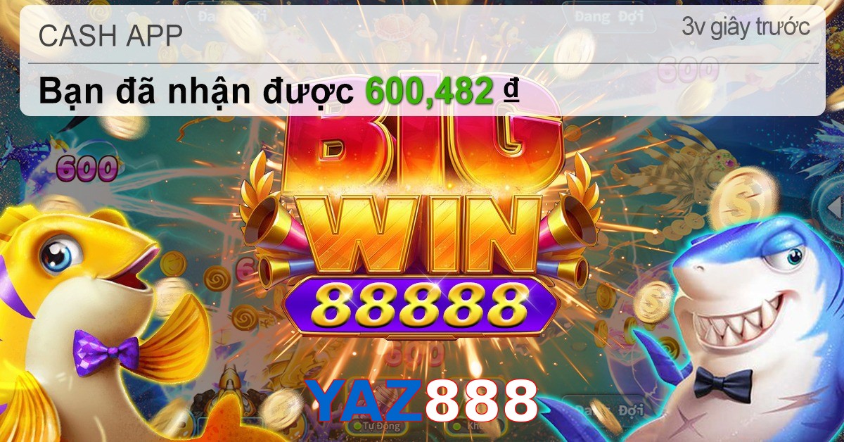 YAZ888